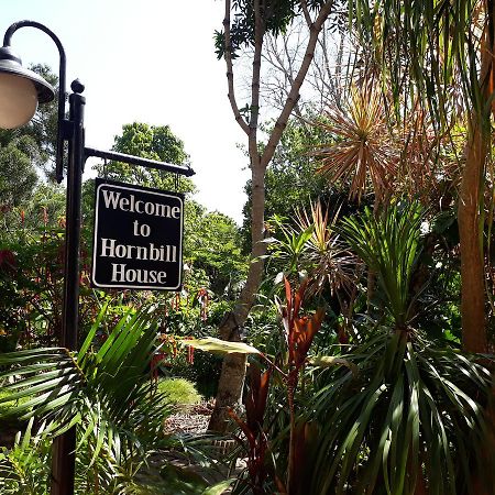 Hornbill House Panzió Mtubatuba Kültér fotó