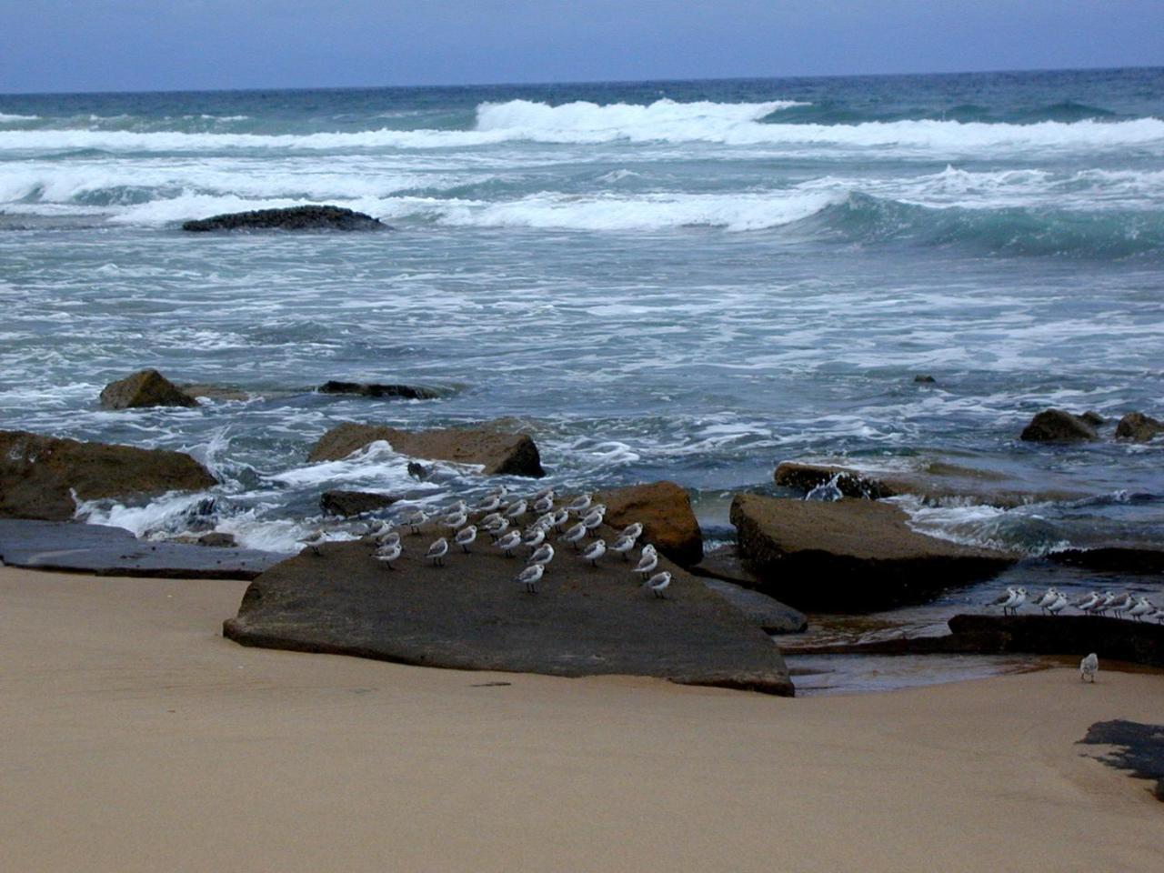 Hornbill House Panzió Mtubatuba Kültér fotó